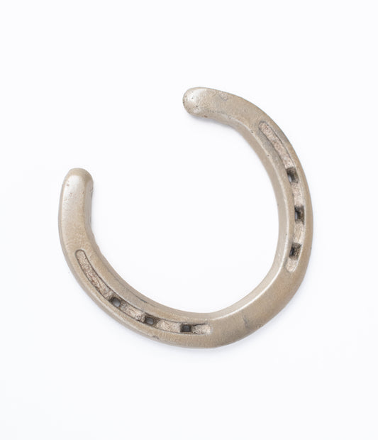 Metallic Horseshoe