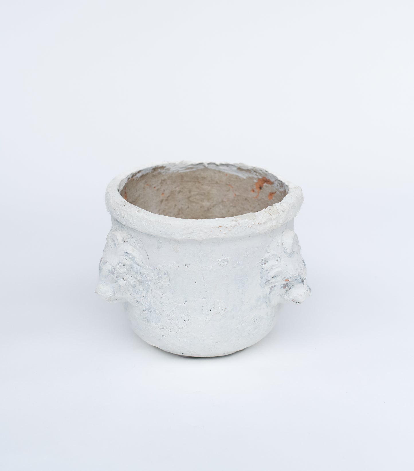 Plastered Lion Planter