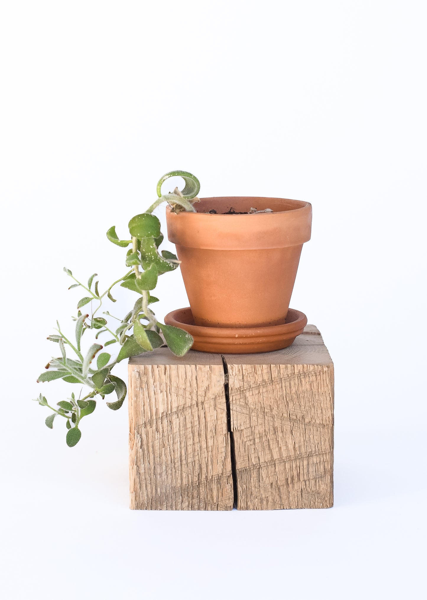 Antique Beam Cube
