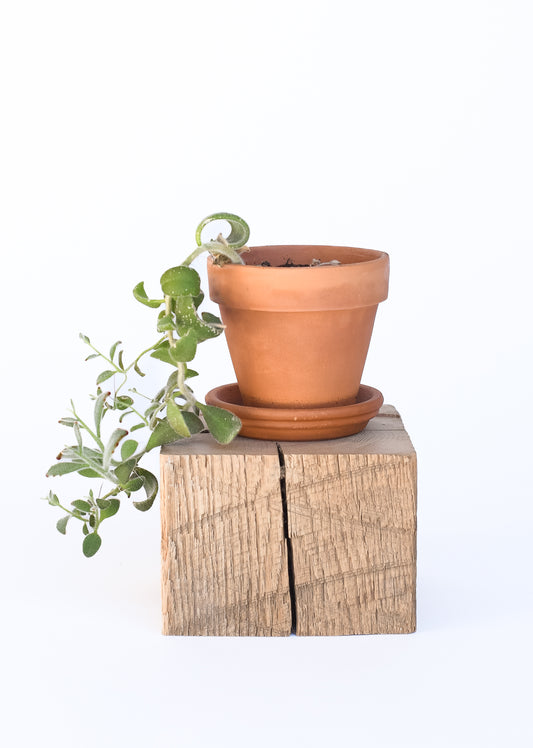 Weathered Beam Cube