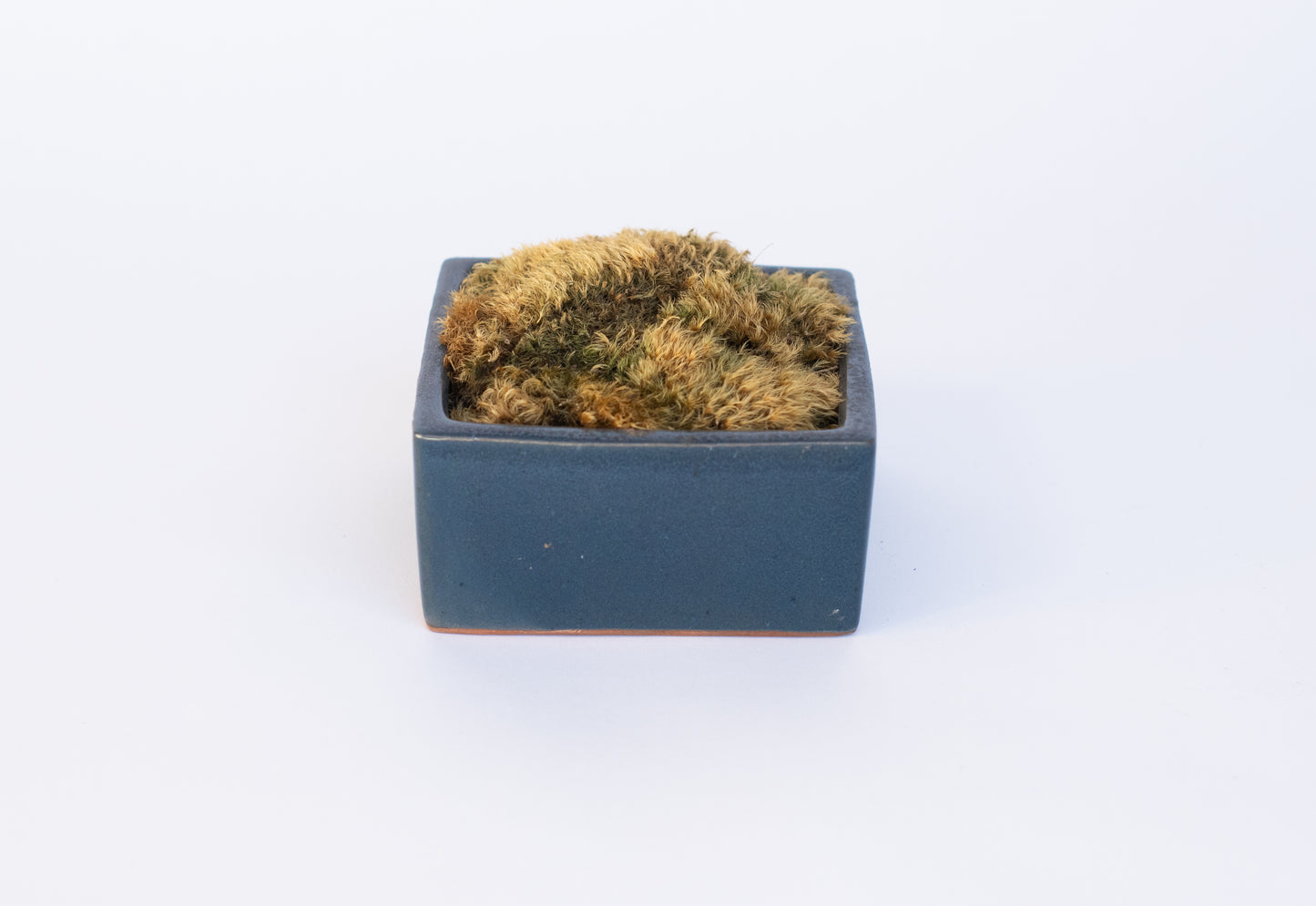 Square Blue Moss Bowl
