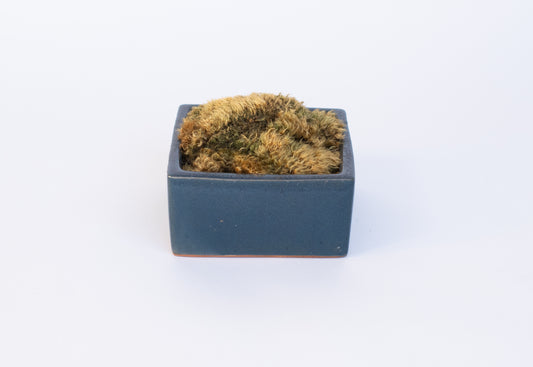 Square Blue Moss Bowl