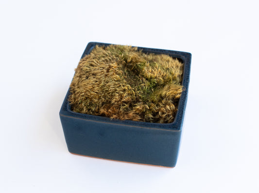Square Blue Moss Bowl